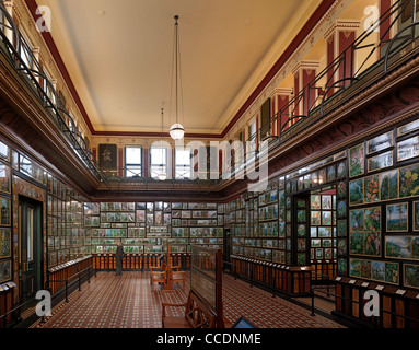 SHIRLEY SHERWOOD GALLERY WALTERS ET COHEN Royal Botanic Gardens KEW 2008 INTÉRIEUR DE MARIANNE NORTH GALLERY Banque D'Images