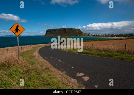 Route de Stanley, Tasmanie (Australie) avec un pingouin Sign Banque D'Images