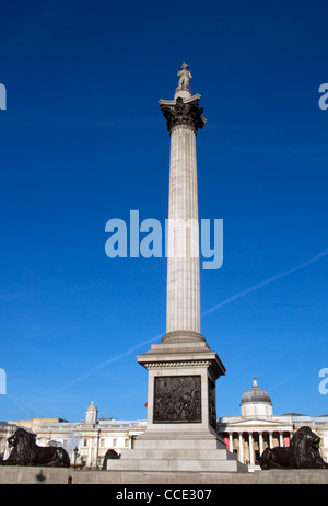 La Colonne Nelson de Trafalgar Square London England Banque D'Images