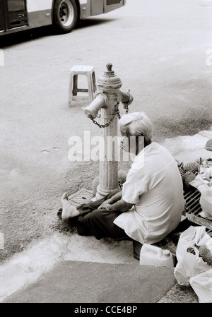 La photographie surréaliste - Scène de rue d'un durian vendeur dans le quartier chinois à George Town dans l'île de Penang en Malaisie en Asie du Sud-Est Extrême-Orient. L'alimentation Banque D'Images