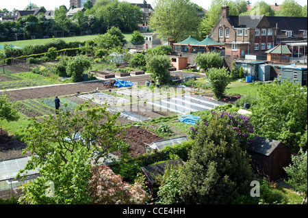 Vue générale des jardins ou des parcelles à Londres voir du toit d'une maison. Banque D'Images