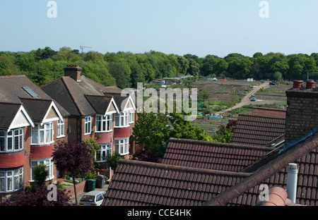 Vue générale des jardins ou des parcelles à Londres voir du toit d'une maison. Banque D'Images