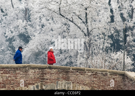 Le Naviglio Grande, Castelletto di Cuggiono, Lombardie, Italie Banque D'Images