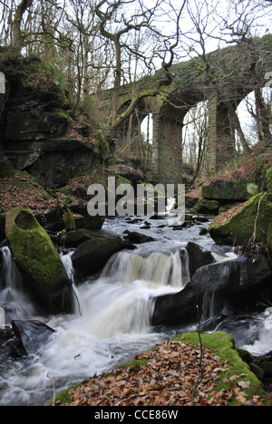 Healey Réserve Naturelle Dell Viaduc victorien de Rochdale. Banque D'Images