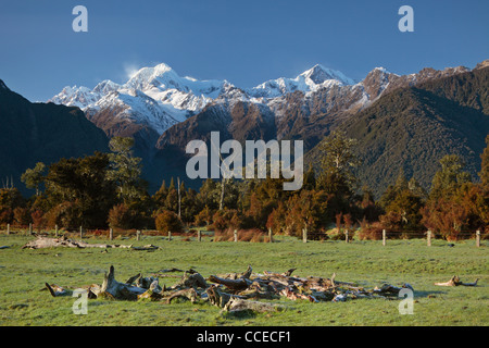 Vue sur le Mont Cook (Aoraki) et Mt Tasman vus de près de Lake Matheson en Nouvelle Zélande Banque D'Images