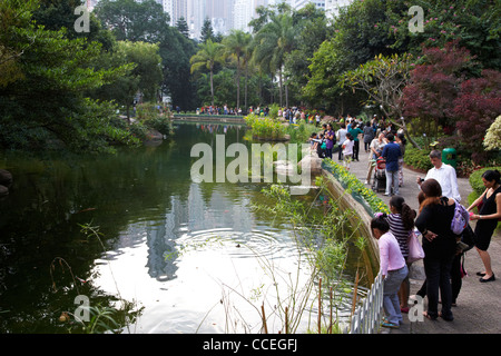 Lac artificiel à Hong Kong Hong Kong Chine Asie central park Banque D'Images