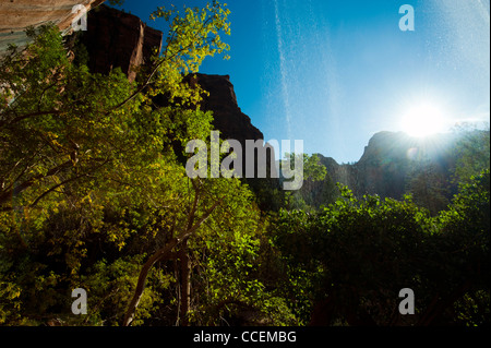 Une vue de derrière une cascade par rétro-éclairé le soleil à Zion National Park, Utah. Banque D'Images