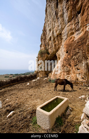 Scurati grottes, Grotte di Scurati, Trapani, Sicile, Italie, Europe Banque D'Images