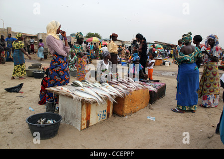 Les femmes à la vente du poisson sur la plage de tanji Gambie Banque D'Images