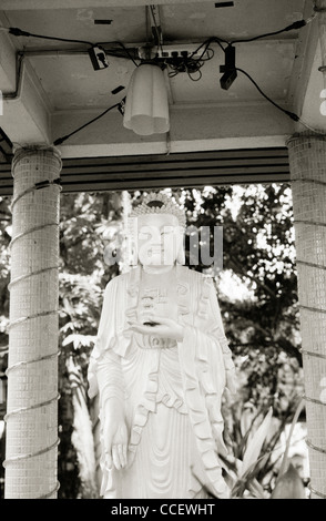 La photographie de voyage - Buddha statue in Wat Buppharam à George Town dans l'île de Penang en Malaisie en Asie du Sud-Est Extrême-Orient. Buddhism Buddhist Banque D'Images