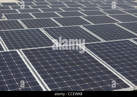 Grand choix de panneaux solaires Banque D'Images