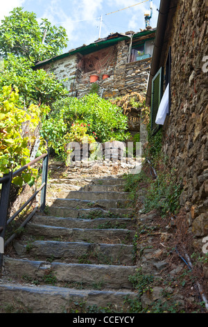 Ancien escalier en pierre dans village italien. Shot verticale Banque D'Images