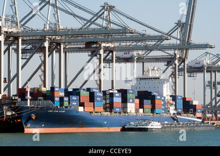 Porte-conteneurs et de grues dans un port Banque D'Images