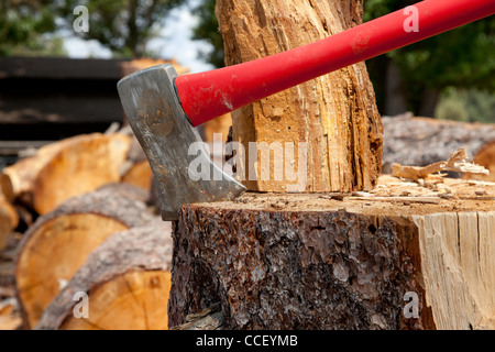 Souche d'arbre coincé dans Ax Banque D'Images