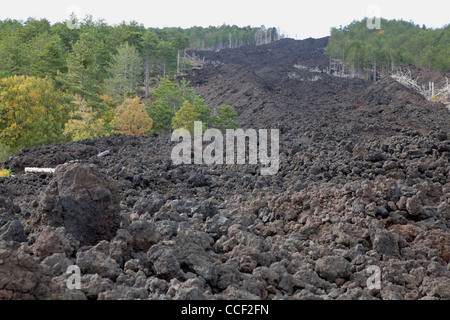 Stream de lave près de l'Etna, Sicile, Italie Banque D'Images