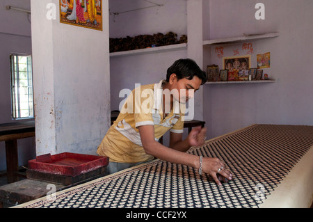 L'homme l'impression à l'atelier d'impression bloc de tissu, village Bagru, Jaipur, Rajasthan, Inde Banque D'Images