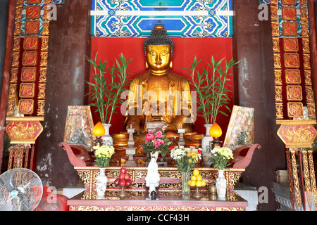 Golden Buddha statue in po fook hill cemetery sha tin nouveaux territoires de Hong Kong Hong Kong Chine Asie Banque D'Images