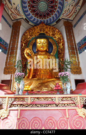 Grande statue de Bouddha en or po fook hill cemetery sha tin nouveaux territoires de Hong Kong Hong Kong Chine Asie Banque D'Images