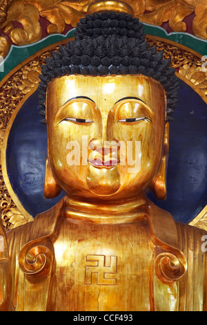 La face de la tête et des épaules de grande statue du Bouddha d'or (1628-1645) montrant en symbole po fook hill cemetery Sha Tin Banque D'Images