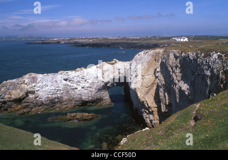 Bwa Gwyn (arche blanche) arch rock naturel sur l'Île Sainte de la côte près de Rhoscolyn Holyhead Mountain Anglesey au nord du Pays de Galles UK Banque D'Images