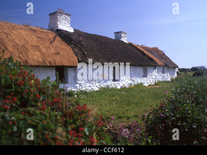 Swtan Dernière thatched cottage sur l'île préservée en tant que musée de la vie rurale Church Bay Porth (Swtan) Anglesey au nord du Pays de Galles UK Banque D'Images