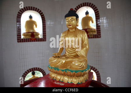 Statue de Bouddha au sommet des dix mille bouddhas monastery sha tin pagoda niveau neuf nouveaux territoires hong kong région administrative spéciale de Chine Banque D'Images
