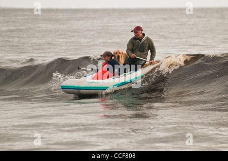 Couple et leur chien surf vagues sur un radeau, Fred's Creek, l'île Kruzof, sud-est de l'Alaska Banque D'Images