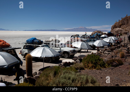 L'île de Incahuasi, ou l'île des cactus, en Bolivie, Salar de Uyuni, le plus grand de sel et des principaux site touristique. Banque D'Images