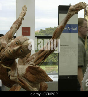 Nov 22, 2004 ; Los Angeles, CA, USA ; les visiteurs prendre un bon regard à la dernière plastination anatomiques ajoutée à l'exposition Le Monde du corps Exposition au California Science Center aujourd'hui lundi 22 2004. Cette nouvelle génération d'plastinates sera présenté à un public composé de Le Monde du corps Banque D'Images