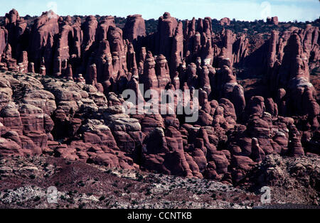 Bryce Canyon National Park est un parc national situé dans le sud-ouest de l'Utah aux États-Unis. Contenus dans le parc est Bryce Canyon. En dépit de son nom, ce n'est pas vraiment un canyon, mais plutôt un gigantesque amphithéâtre naturel créé par l'érosion le long de la côte orientale de l'Paunsaugunt Plateau. B Banque D'Images