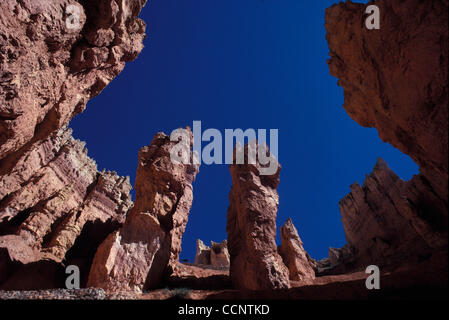 Bryce Canyon National Park est un parc national situé dans le sud-ouest de l'Utah aux États-Unis. Contenus dans le parc est Bryce Canyon. En dépit de son nom, ce n'est pas vraiment un canyon, mais plutôt un gigantesque amphithéâtre naturel créé par l'érosion le long de la côte orientale de l'Paunsaugunt Plateau. B Banque D'Images