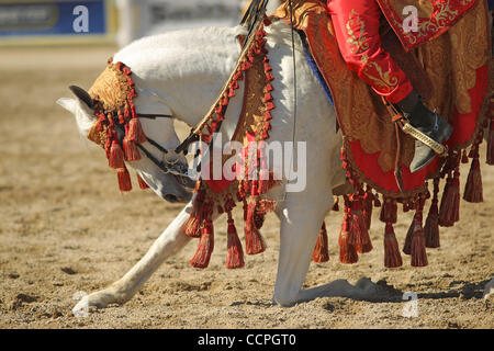 7 octobre 2010 - Lexington, Kentucky, USA - Un cheval arabe a pris un arc à la fin de sa performance de la troupe dans le village équin Arena pendant les Jeux Equestres Mondiaux FEI Alltech au Kentucky Horse Park. (Crédit Image : © David Stephenson/ZUMApress.com) Banque D'Images