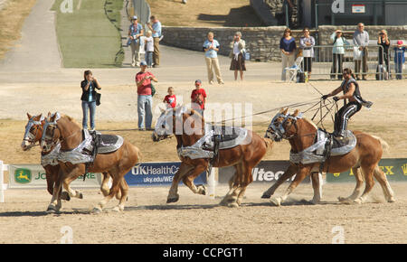 7 octobre 2010 - Lexington, Kentucky, USA - ERIK MARTONOVICH rode son équipe de la belge lors de sa circonscription romaine le rendement dans le village au cours de l'arène hippique Jeux Equestres Mondiaux FEI Alltech au Kentucky Horse Park. (Crédit Image : © David Stephenson/ZUMApress.com) Banque D'Images