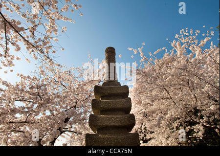 2 avril 2010 - Washington, District de Columbia aux États-Unis - Les visiteurs du festival des cerisiers en fleur errer si près de la bibliothèque de la Tulipe du bassin de marée. Le National Cherry Blossom Festival est chaque année un événement de deux semaines qui célèbre le printemps à Washington, DC, ainsi que les 1912 Don de la cherry b Banque D'Images