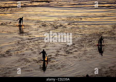 14 novembre 2008   San Diego Californie USA  Surfers off Newbreak Beach. Point Loma Nazarene University est entrée en 5ème dans le classement de la nation de lates's top 10 des écoles de surf. Crédit obligatoire : Photo par John R. McCutchen/San Diego Union-Tribune/Zuma Press. Copyright 2008 San Diego Union-Tribune Banque D'Images