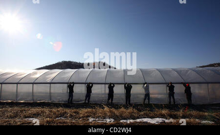 Mar 20, 2008 - Louisville, Kentucky, USA - Travailleurs a restreint la protection en plastique sur la maison verte à Featherstone Farm. (Crédit Image : © Kyndell Harkness/Minneapolis Star Tribune/ZUMA Press) RESTRICTIONS : * DÉPART * Droits de tabloïds USA Banque D'Images