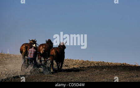 20 avr 2008 - Kindred, Dakota du Nord, USA - FULLER SHELDON de Mapleton, guides son équipe de chevaux de trait tirant une charrue bas sur la montée près de parenté, dans le Dakota du Nord. (Crédit Image : © Bruce Crummy/ZUMA Press) RESTRICTIONS : * Minneapolis - Saint Paul hors de l'Homme * Banque D'Images