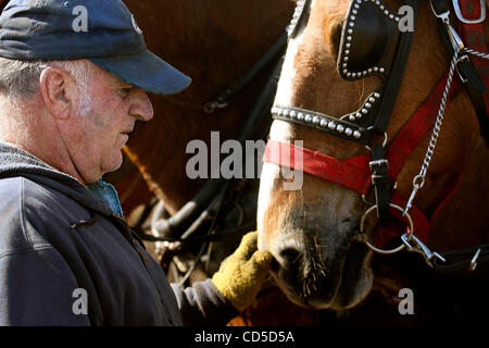 20 avr 2008 - Kindred, Dakota du Nord, USA - Neil Nelson de Colfax, ND apaise ses chevaux après leur entraînement tirant une charrue bas Samedi, 19/04/08 à l'ouest de Kindred, ND. (Crédit Image : © Bruce Crummy/ZUMA Press) RESTRICTIONS : RESTRICTIONS : * Minneapolis - Saint Paul hors de l'Homme * Banque D'Images