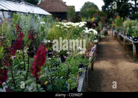 Jul 16, 2010 - Londres, Angleterre, Royaume-Uni - fleurs à Petersham Nurseries, Church Lane, off Petersham Petersham Road, dans la banlieue de Londres, de Richmond, Londres. (Crédit Image : Â© Veronika Lukasova/ZUMApress.com) Banque D'Images