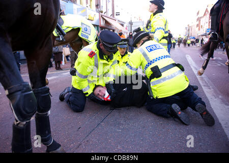 Le 27 novembre 2010 - Preston, Angleterre, Royaume-Uni - un membre de l'English Defence League (EDL) est arrêté au cours d'une manifestation. (Crédit Image : &# 169 ; Mark Makela/zReportage.com/ZUMA) Banque D'Images