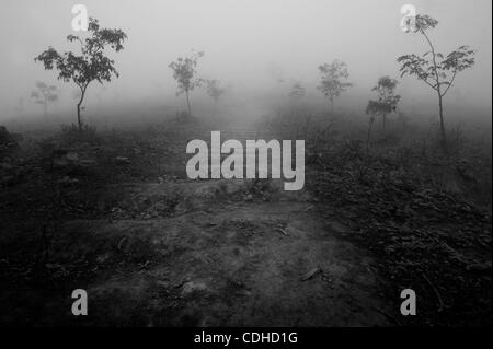 Feb 03, 2011 - Lima, Pérou - Bon nombre des bidonvilles des environs de la ville ont des allées étroites les capteurs de brouillard 2 000 pieds au-dessus du niveau de la mer étaient la visibilité est proche de zéro. Le brouillard s'cathcers peut gagner jusqu'à 60 litres d'eau pendant l'hiver. (Crédit Image : &# 169 ; Michael Francis McElroy/ZUMAPRE Banque D'Images