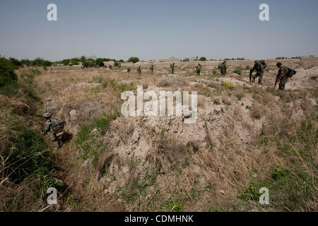 Apr 09, 2011 - Le district de Panjwayi, province de Kandahar, Afghanistan - Les soldats du 3e peloton, Compagnie Comanche, 1er escadron du 2e régiment de cavalerie Stryker avec des soldats de l'Armée nationale afghane effacer un champ de vigne possible EEI au cours d'une opération de compensation près du village de Nakhonay, dans le Panjway Banque D'Images