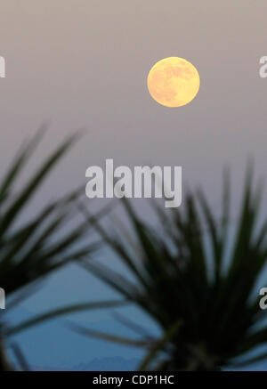 Juillet 14, 2011 - Las Vegas, Nevada, États-Unis - une pleine lune se lève derrière yuccas sur Las Vegas. Pleine lune de juillet est également connu comme une pleine lune Buck, comme c'est le moment de l'année où de nouveaux bois pousser hors de la front de buck deer. (Crédit Image : © David Becker/ZUMAPRESS.com) Banque D'Images