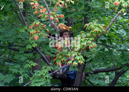 Jun 30, 2011 - Ottawa, Ontario, Canada - Un garçon escalade un arbre pour avoir une vue de la nouvelle mariée le Prince William, duc de Cambridge, et Catherine, duchesse de Cambridge avant la cérémonie d'accueil du couple royal à Rideau Hall, à Ottawa. (Crédit Image : &# 169/ZUMAPRESS.com) Sellehuddin ; Kamal Banque D'Images