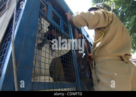 Gouvernement du Cachemire enseignants crier des slogans d'un véhicule de police indiennes après qu'ils ont été arrêtés lors d'une manifestation dans le centre de Srinagar, la capitale d'été du Cachemire indien, 14 juin 2011. La police indienne arrêté des dizaines d'enseignants, à l'aide du gouvernement du Cachemire de la force pour disperser les enseignants qui ont été demandi Banque D'Images