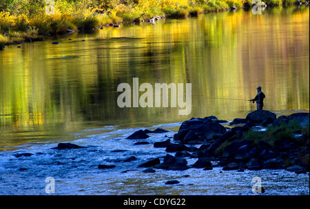 26 octobre, 2011 - 1100, l'Oregon, États-Unis - avec un fond de feuilles d'automne coloré, un pêcheur de mouche sa chance sur les tests de l'Umpqua River près de 1100. La rivière a une réputation de classe mondiale la truite arc-en-eau. (Crédit Image : © Loznak ZUMAPRESS.com)/Robin Banque D'Images