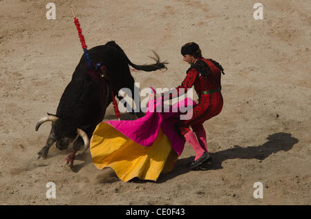11 septembre 2011 - Arles, Texas, États-Unis - 11 septembre 2011 - Arles, France - un assistant du matador pneus le taureau avec sa capote. (Crédit Image : © Caleb Bryant Miller/ZUMAPRESS.com) Banque D'Images