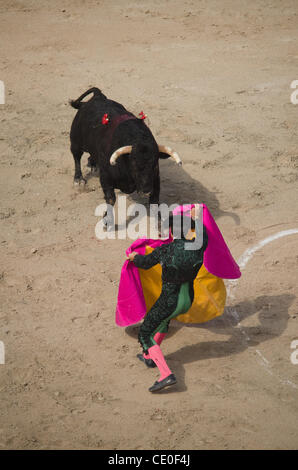11 septembre 2011 - Arles, Texas, États-Unis - 11 septembre 2011 - Arles, France - un assistant du matador pneus le taureau avec sa capote. (Crédit Image : © Caleb Bryant Miller/ZUMAPRESS.com) Banque D'Images