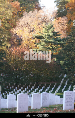 Vue générale du cimetière d'Arlington au cours de la saison d'automne, Washington DC, USA - 11.11.10 Banque D'Images