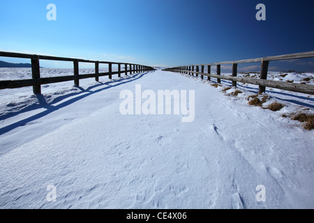 Route enneigée en plateau utsukushigahara, Nagano au Japon Banque D'Images